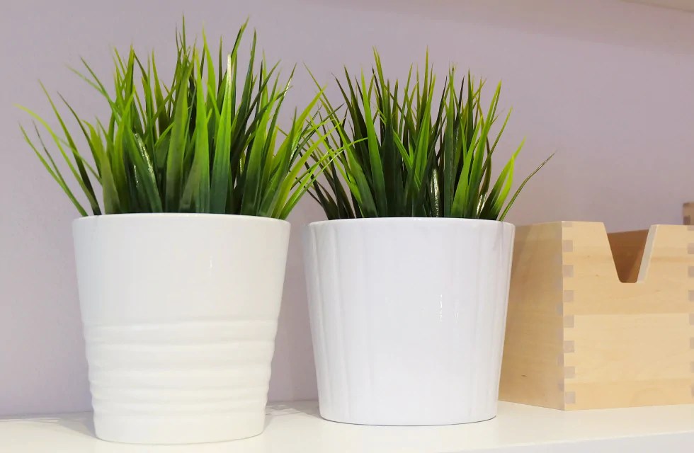 Artificial Plants All the SubCategories You Should Know About