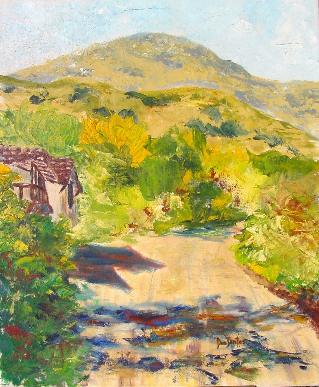 Original Signed Oil (and some other types) Paintings By Argentinan and