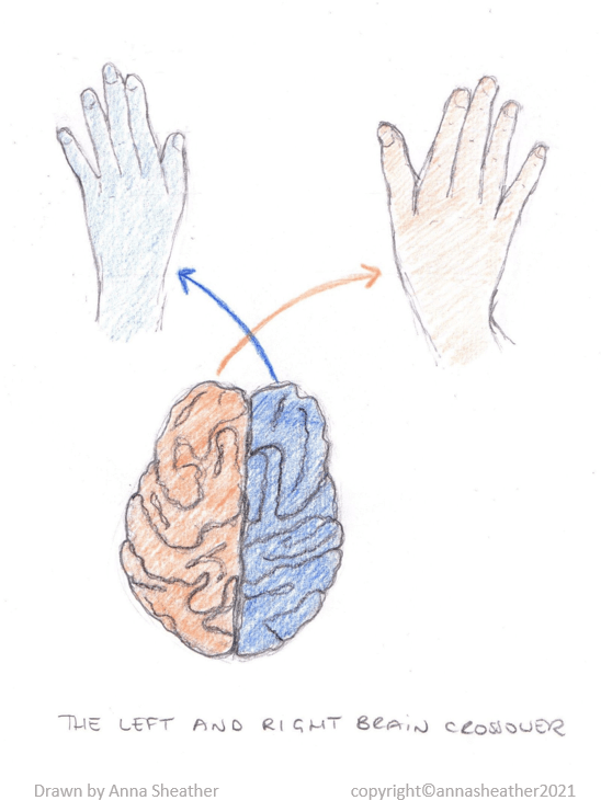 Bilateral drawing warming up the whole brain Art in Coaching