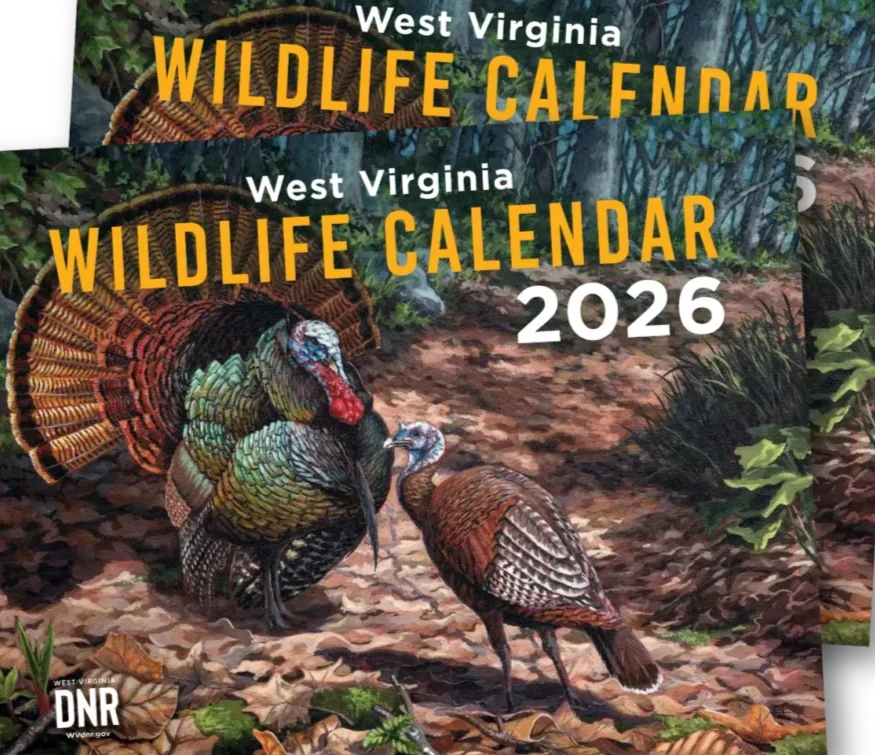 WV 2026 DNR Calendar from WV Department of Natural Resources The