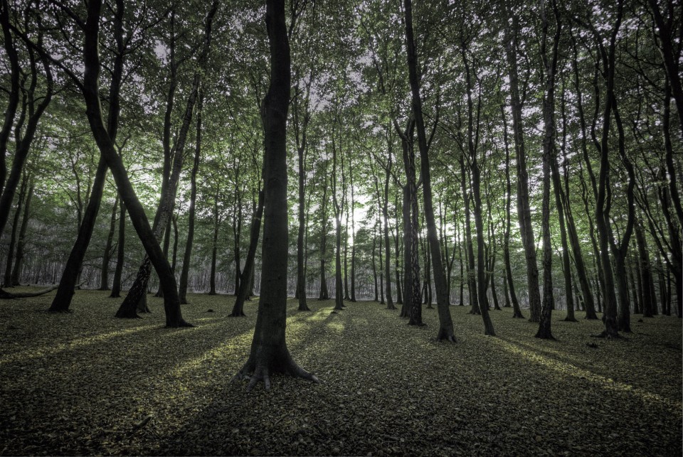 Knowledge is Natural, a about DIY energy and augmented reality