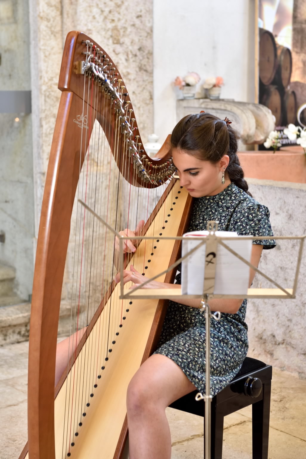 Artist Key harpist