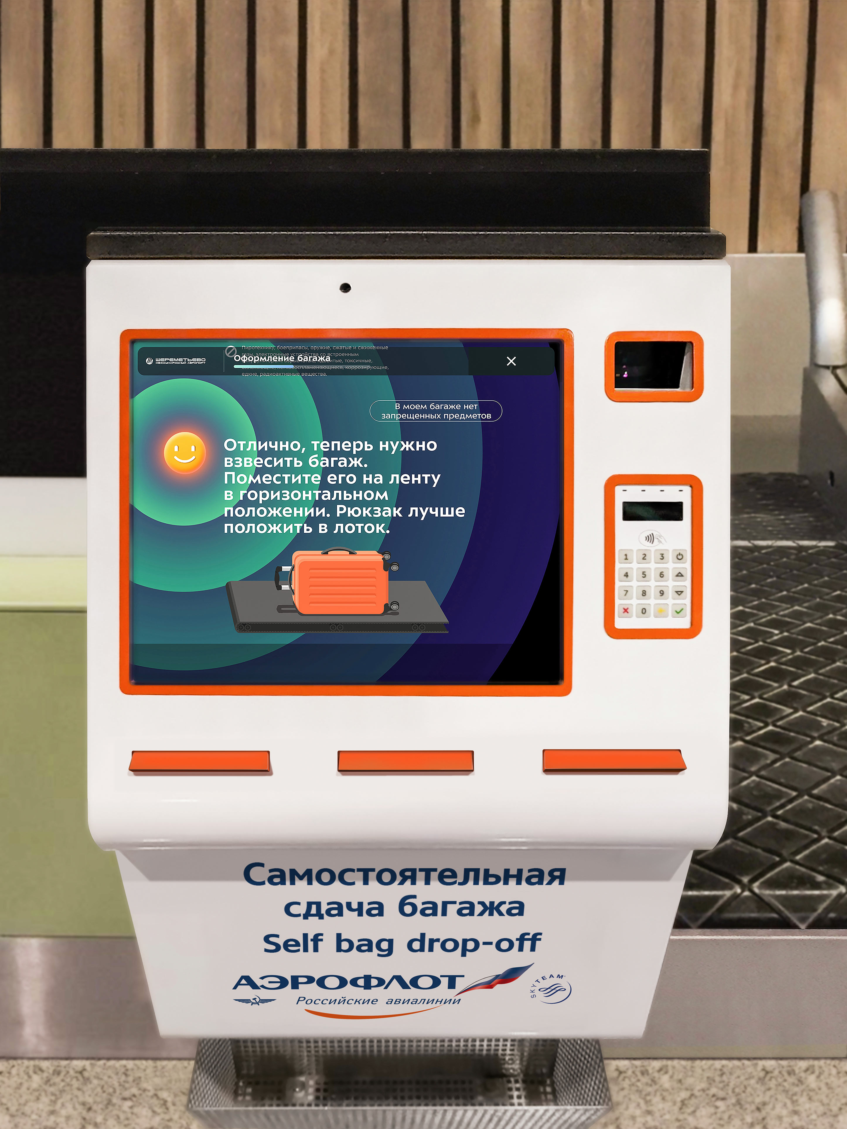 Sheremetyevo self checkin kiosk interface
