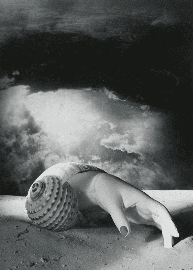 Photomontage Art Technique Definition, History, and Artists Artlex