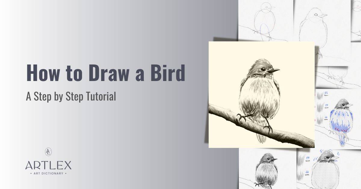 Top 5 how to draw a bird realistic easy 2022