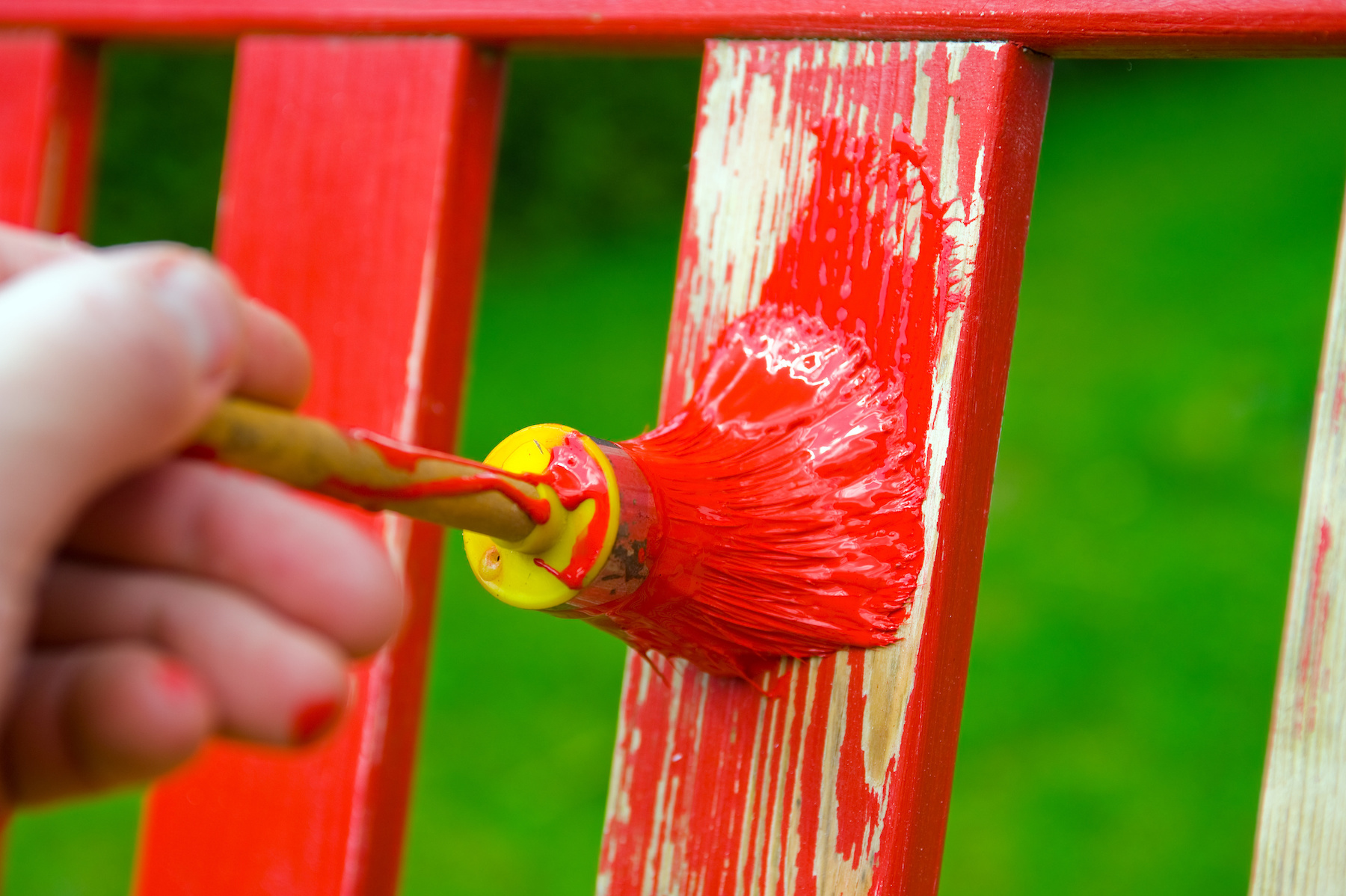 Best Outdoor Paint for Murals, Furniture, and More