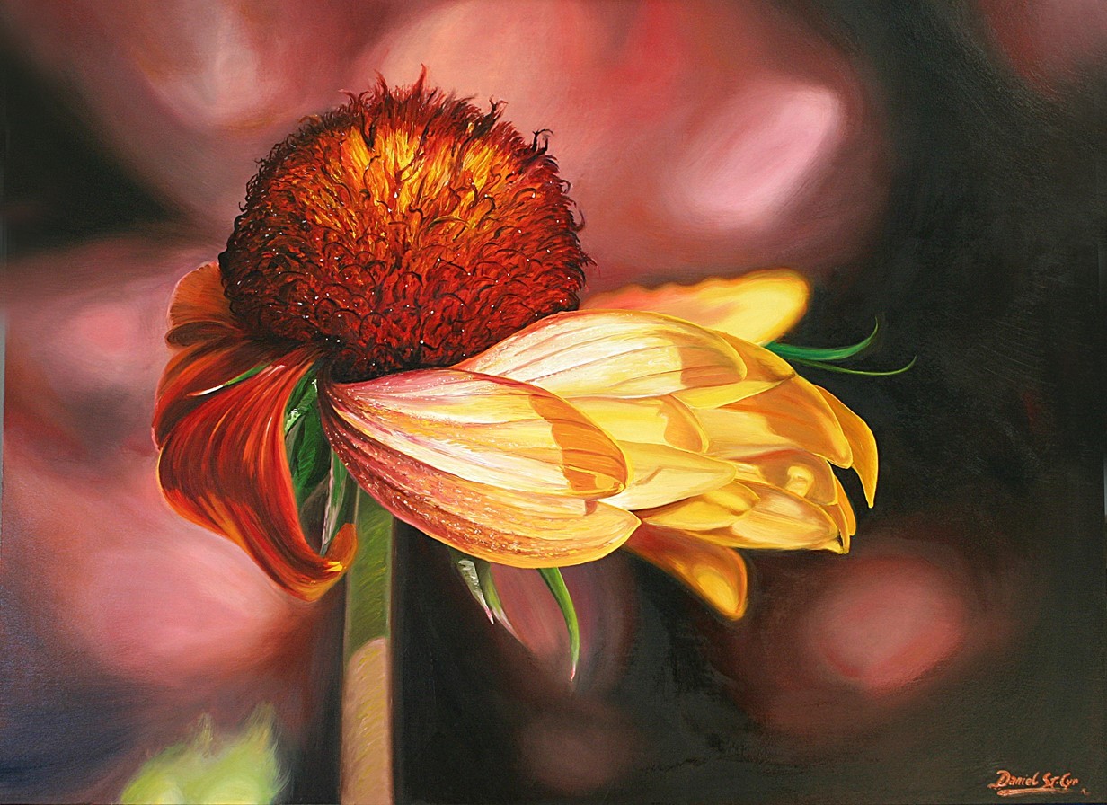 Daniel StCyr Arts Carleton Place