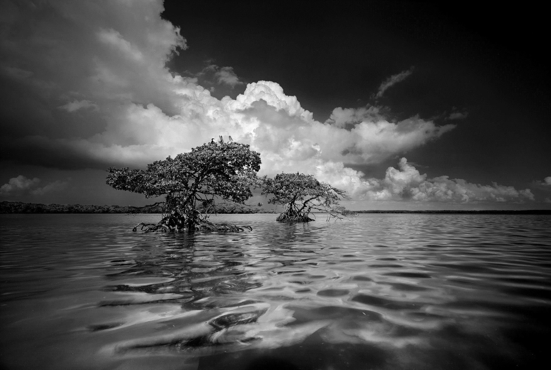 Clyde Butcher Photographs and Prints