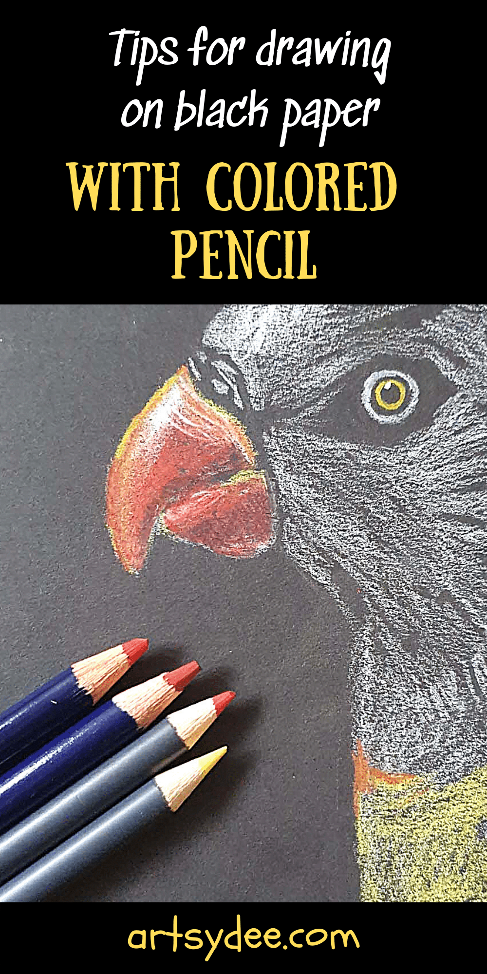 The Ultimate Beginners Guide for Drawing on Black Paper with Colored