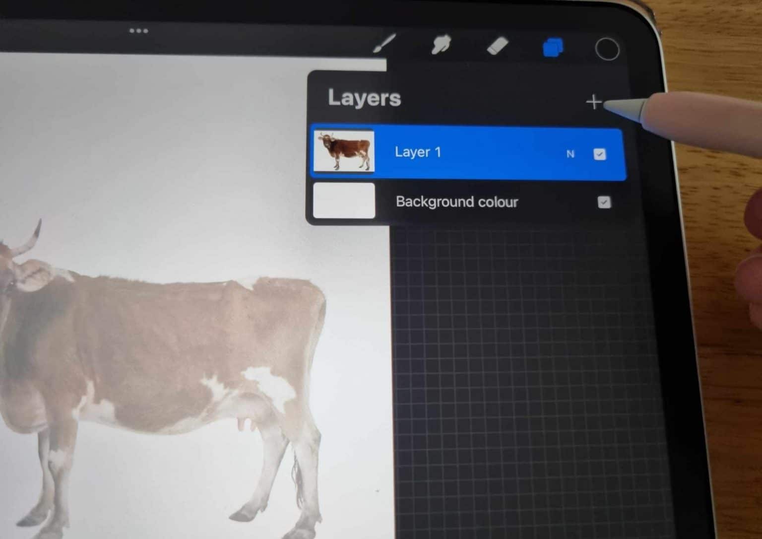 How To Trace On Procreate in 11 Easy Steps Artsydee Drawing