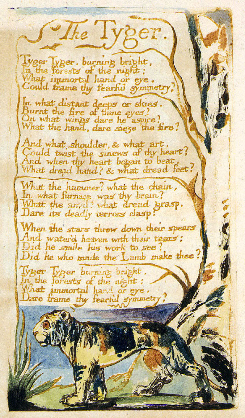 LAS ESQUINAS DEL DÍA +”The Tyger”, de William Blake