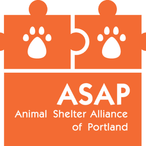 Stray & Feral Cats Animal Shelter Alliance of Portland / Spay & Save