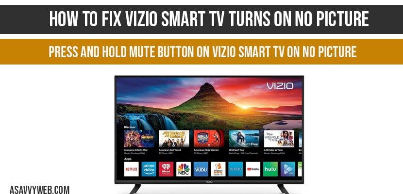 How to fix VIZIO Smart tv turns on no picture A Savvy Web