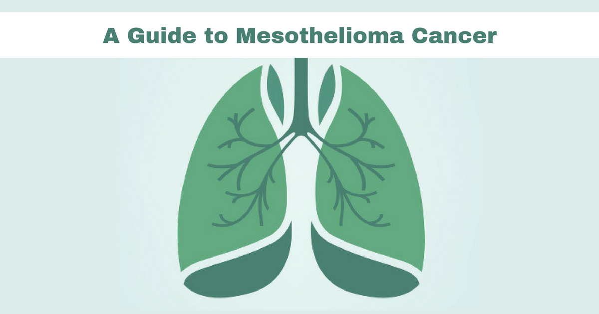Mesothelioma Overview Symptoms, Treatment & Causes
