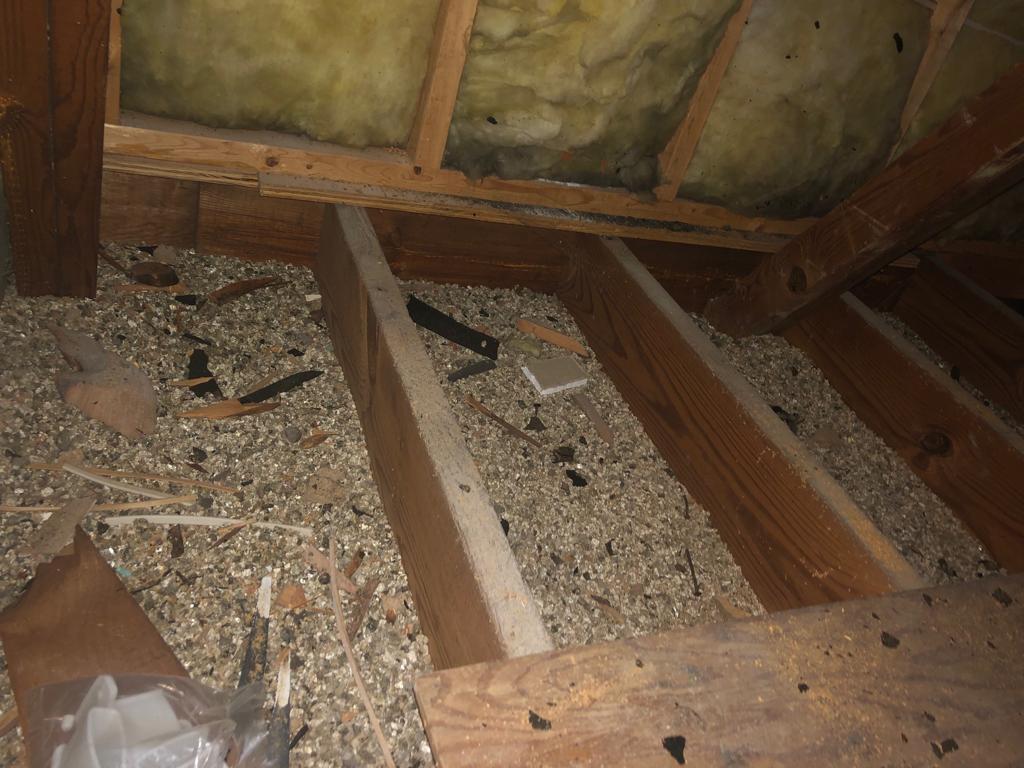 Attic Insulation Issues AsbestosContaining Vermiculite