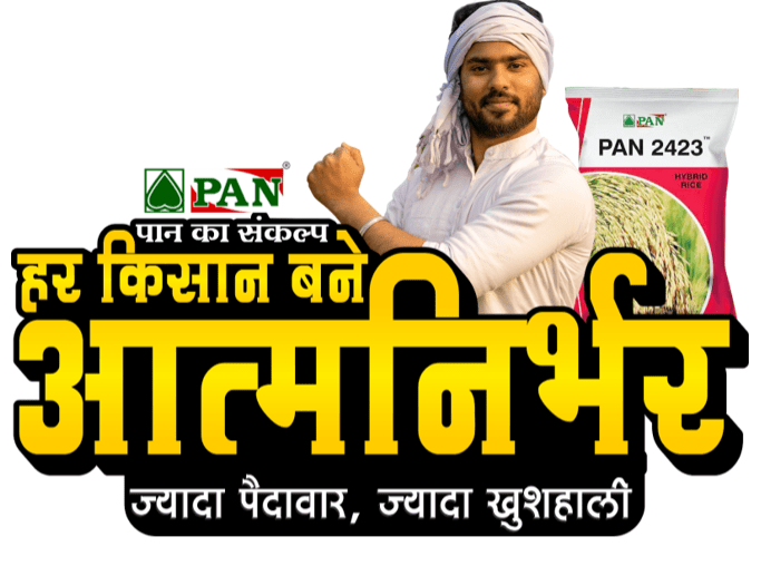 Pan Seeds Digital Campaign in West Bengal and Assam For Paddy Seeds