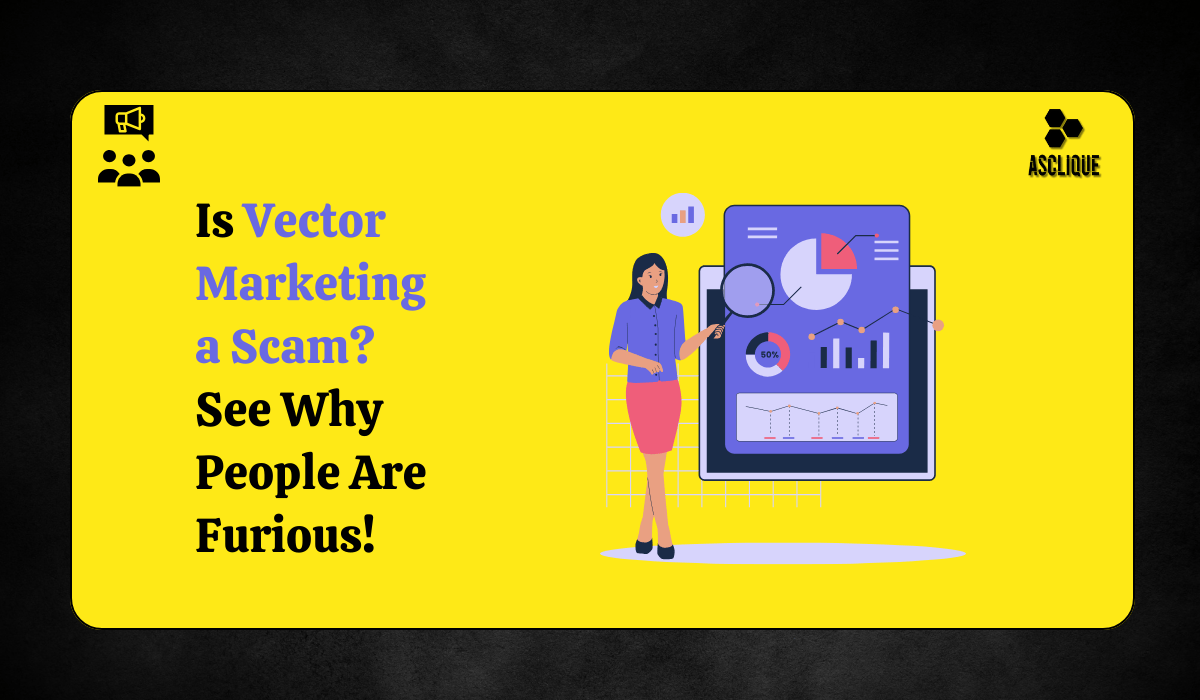 Decoding Vector Companies Your Friendly Guide