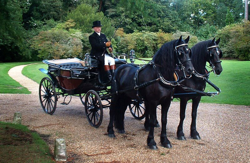 Gallery of Horse Drawn Carriage rides in Windsor Great Park Ascot