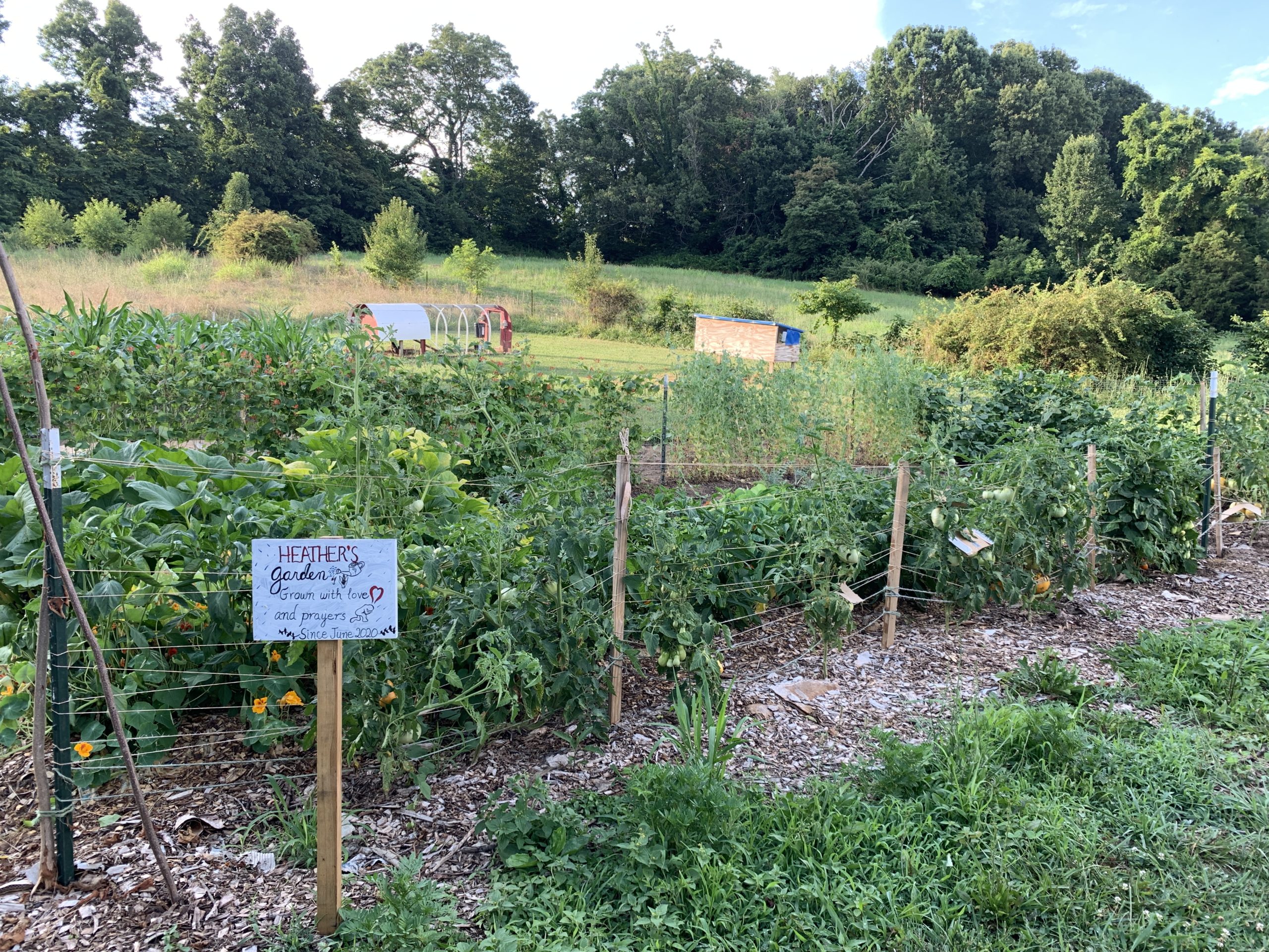 Grow Your Own Appalachian Sustainable Development