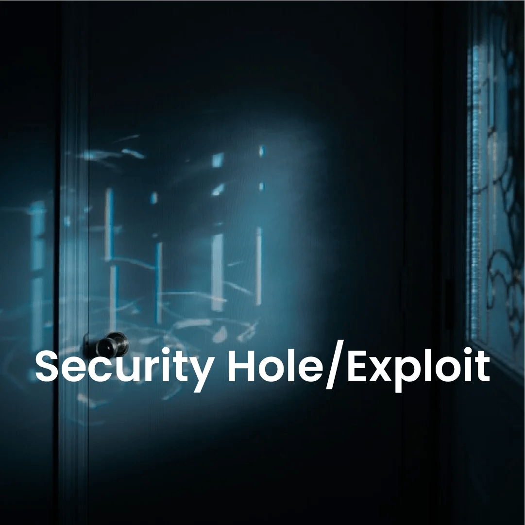 Security Hole/Exploit Patch Management ASDF.ID