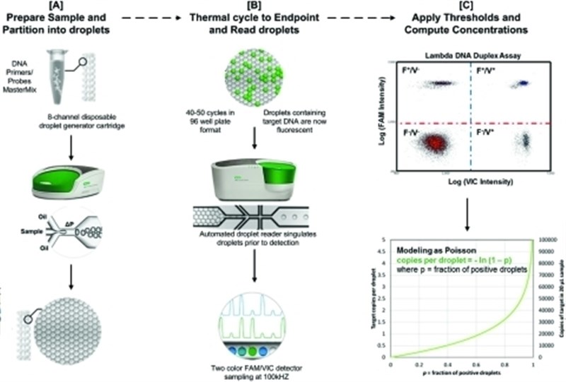 Digital PCR (dPCR) and qPCR Market worth 4.94 Bn USD by 2021
