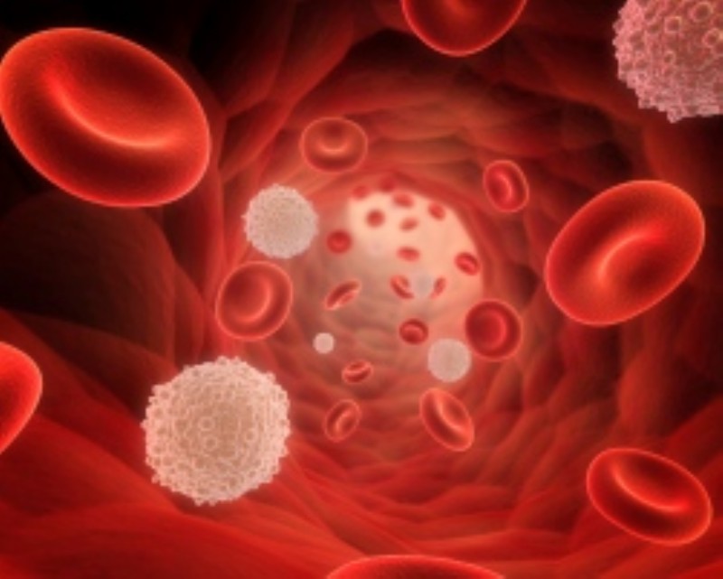 Cll New Treatments 2023 Epicast Report: Chronic Lymphocytic Leukemia - Epidemiology Forecast T