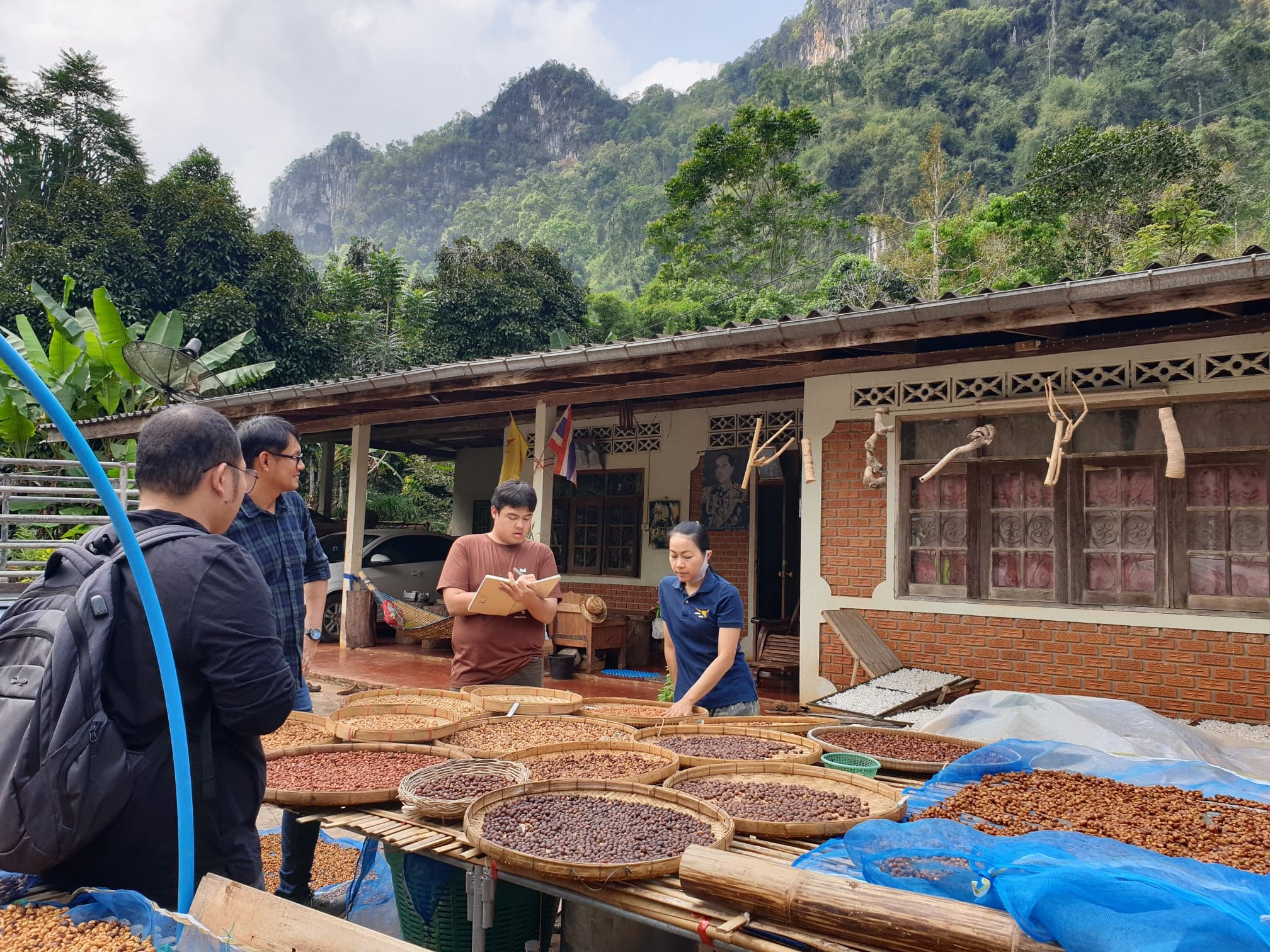 Taking Robusta coffee of Southern Thailand to another level