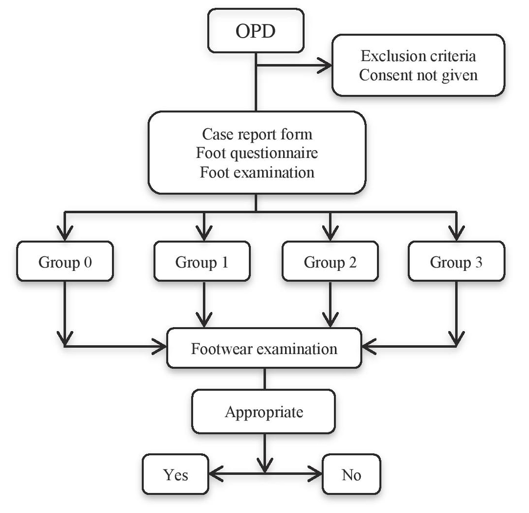 Footwear Appropriateness, Preferences and Foot Ulcer Risk Among Adult