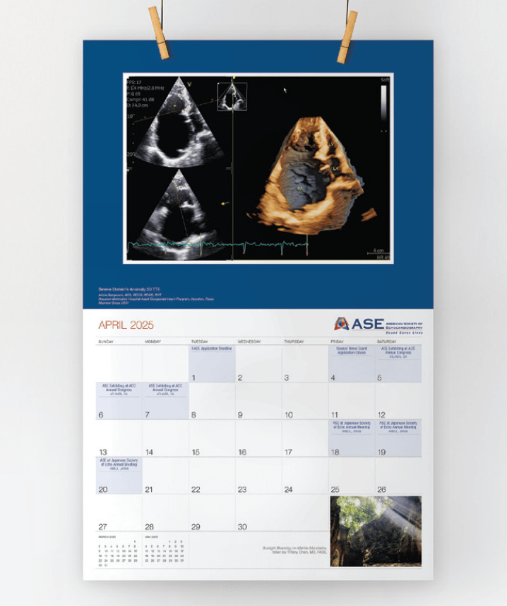 Image Calendar Contest