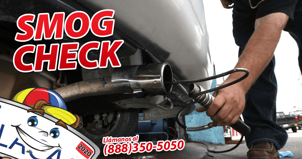 Renovación de Placas Servicio DMV Seguro de Auto Aseguranza