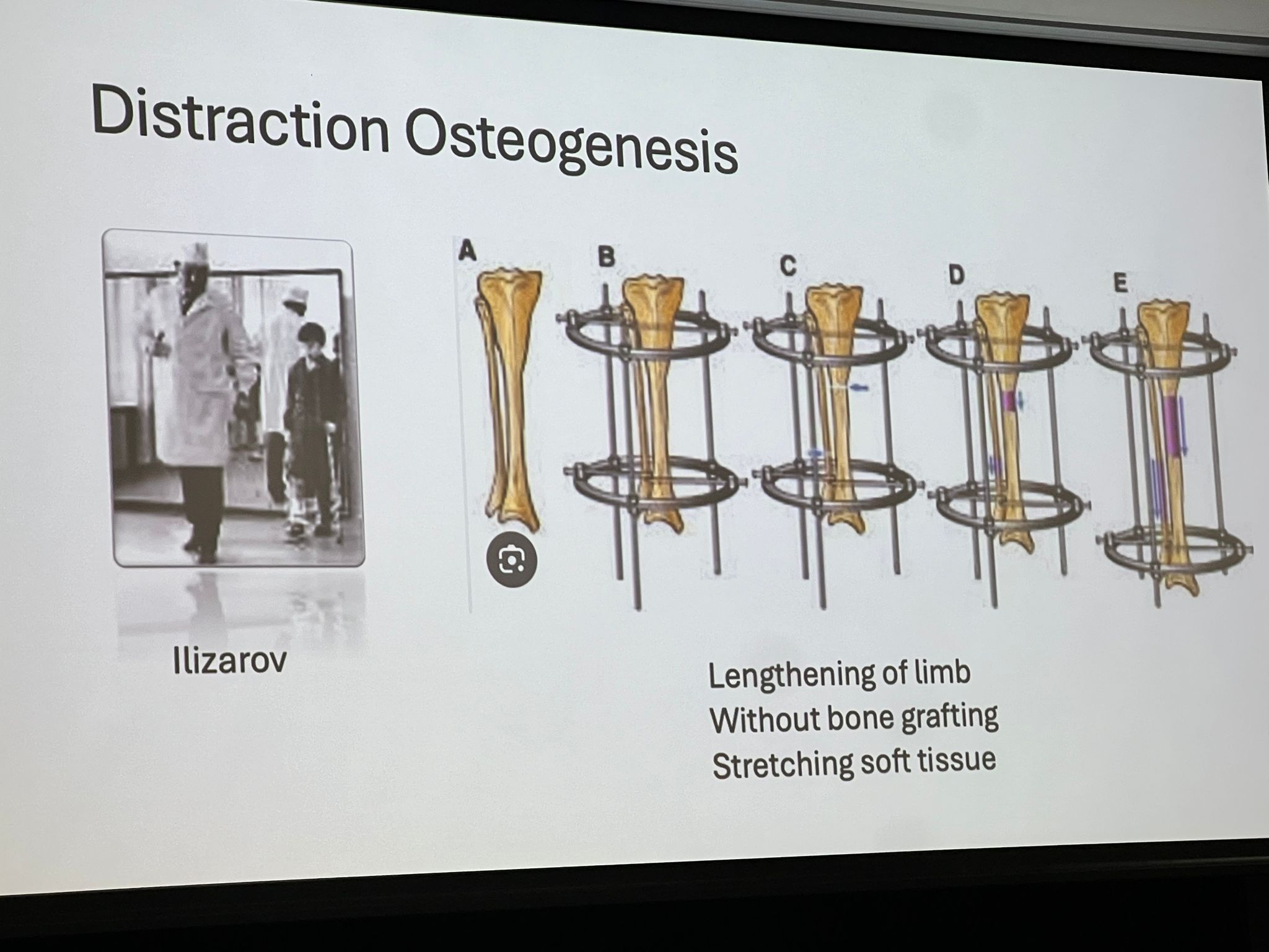 DR LYDIA LIM OMFS Update for the Endodontist Australian Society of