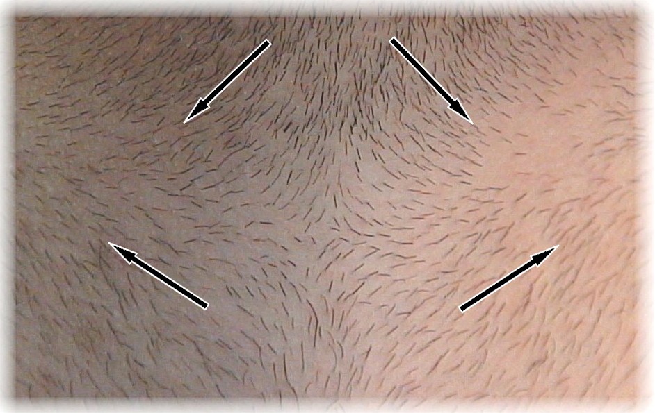 45 List of Cutting Hair - Against The Grain Vs With The Grain for Mens Haircut