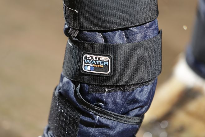 Premier Equine Cold Water Boots Ice Horse Boots Equine Ice Boots