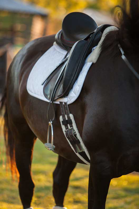 Equinenz Wool Lined Dressage Girth