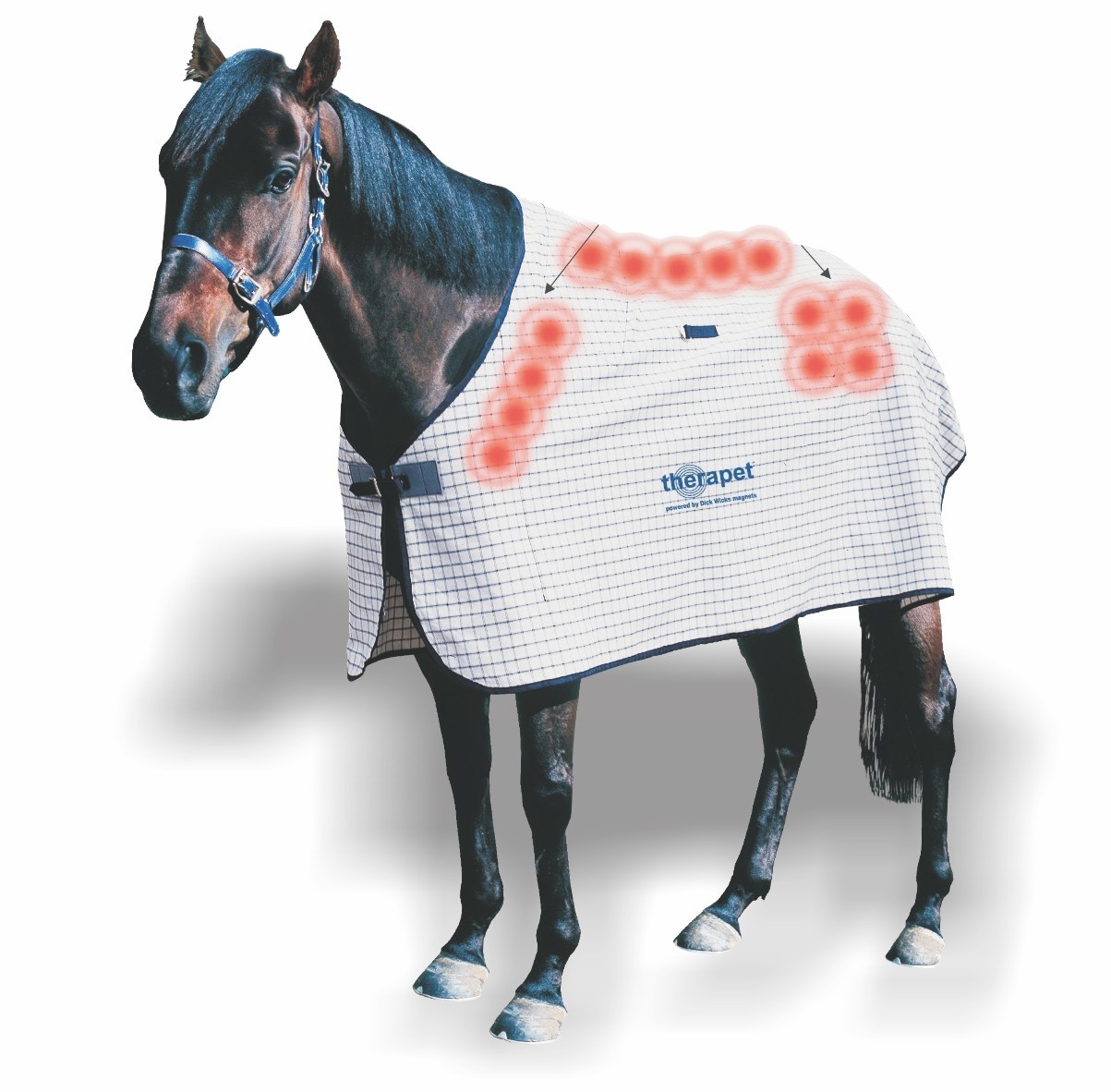 Dick Wicks Horse Rug