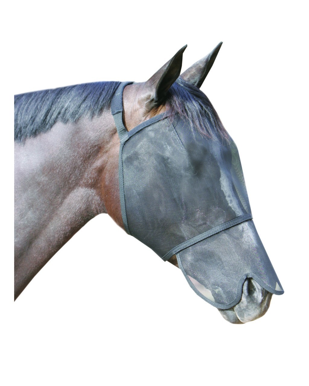 Wild Horse Fly Veil w/Mesh Nose