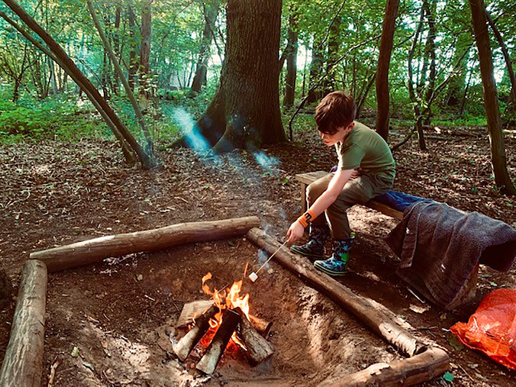 Wild Boar Wood Campsite Ashdown Forest