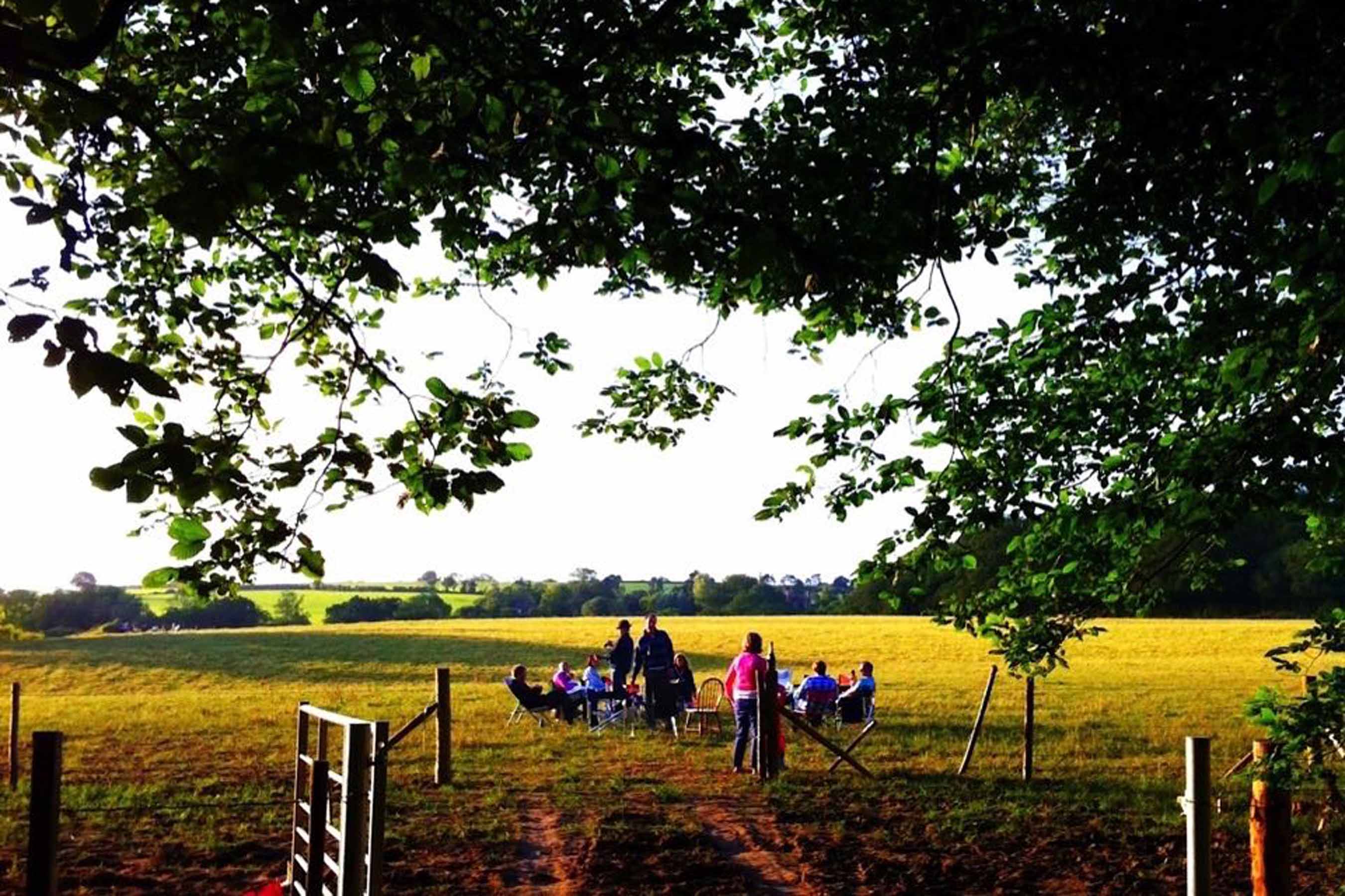 Wild Boar Wood Campsite Ashdown Forest