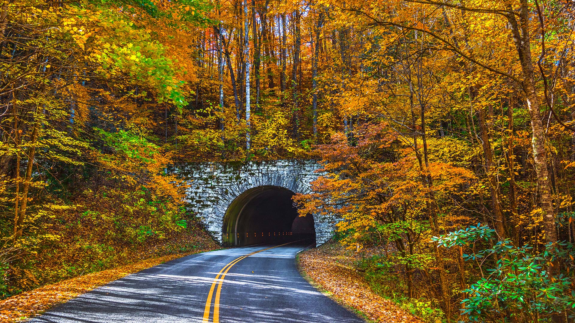 Ashe County Realty, Ashe County Real Estate in the High Country NC