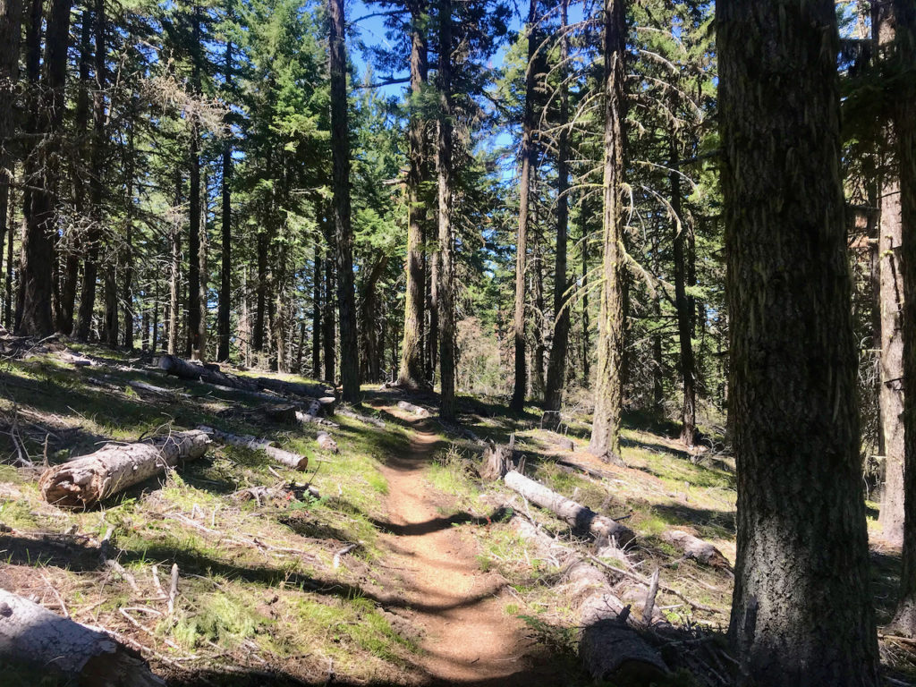 Lower Bull Gap Tr Ashland Woodland & Trails Association