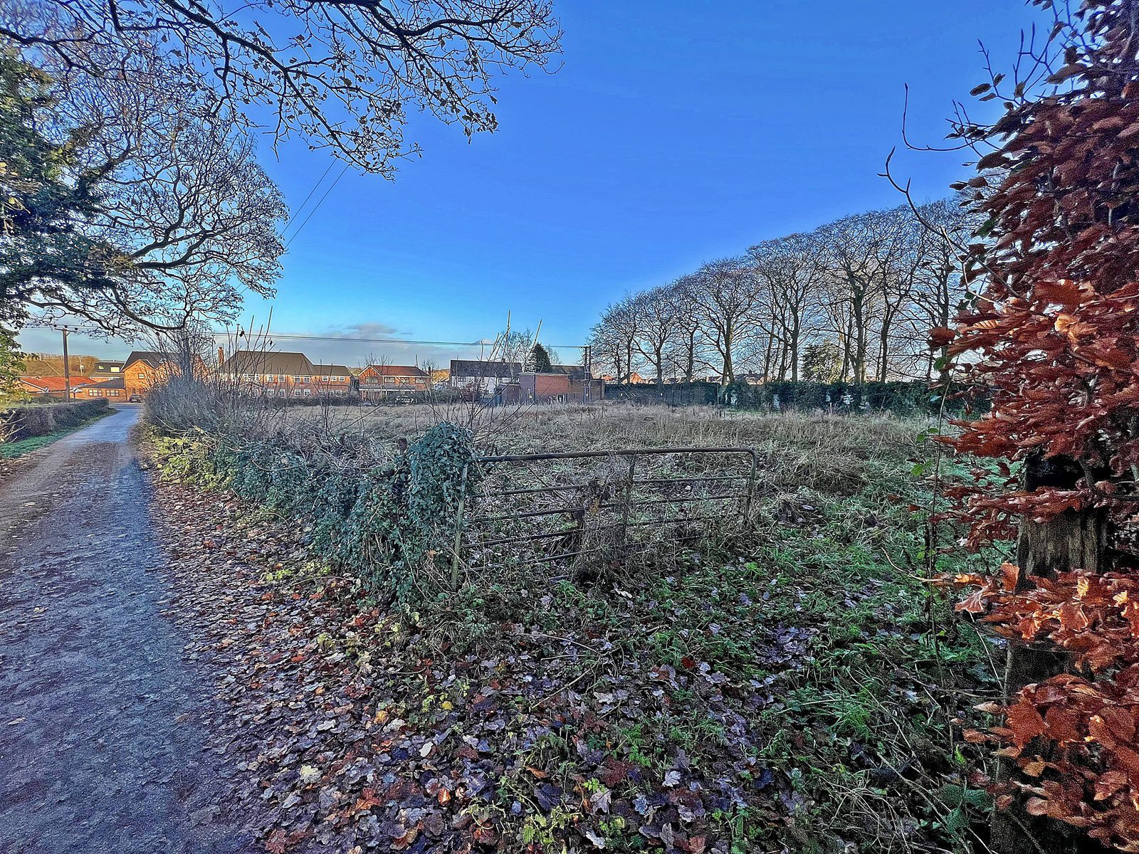 2 Ashtons Estate Agency