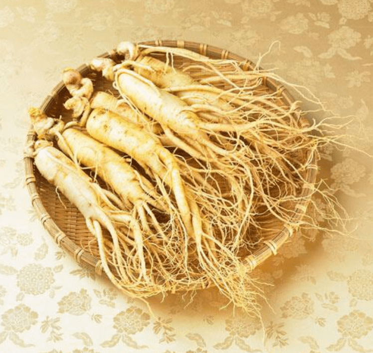 Ginseng during pregnancy Is it safe for expecting mums to consume this