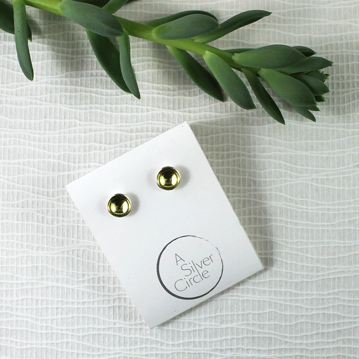 Round Gold Studs A Silver Circle