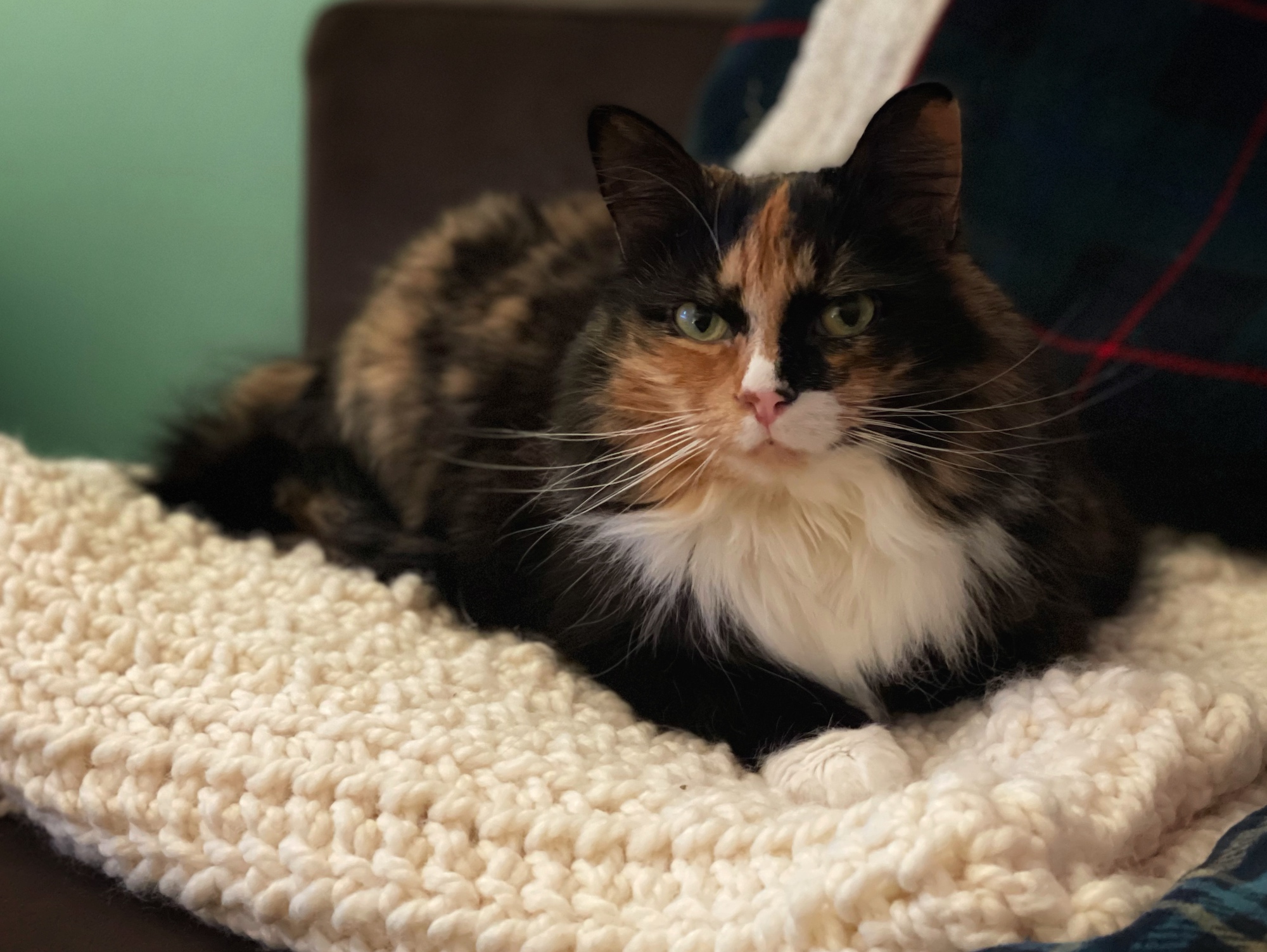 10+ sacramento farm and garden craigslist KaireenRoy