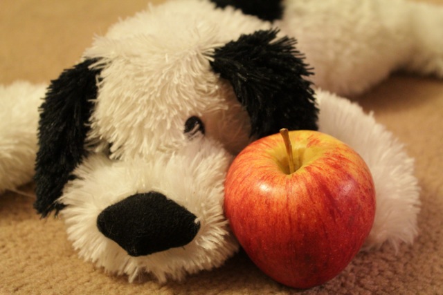 Are apples bad for dogs?