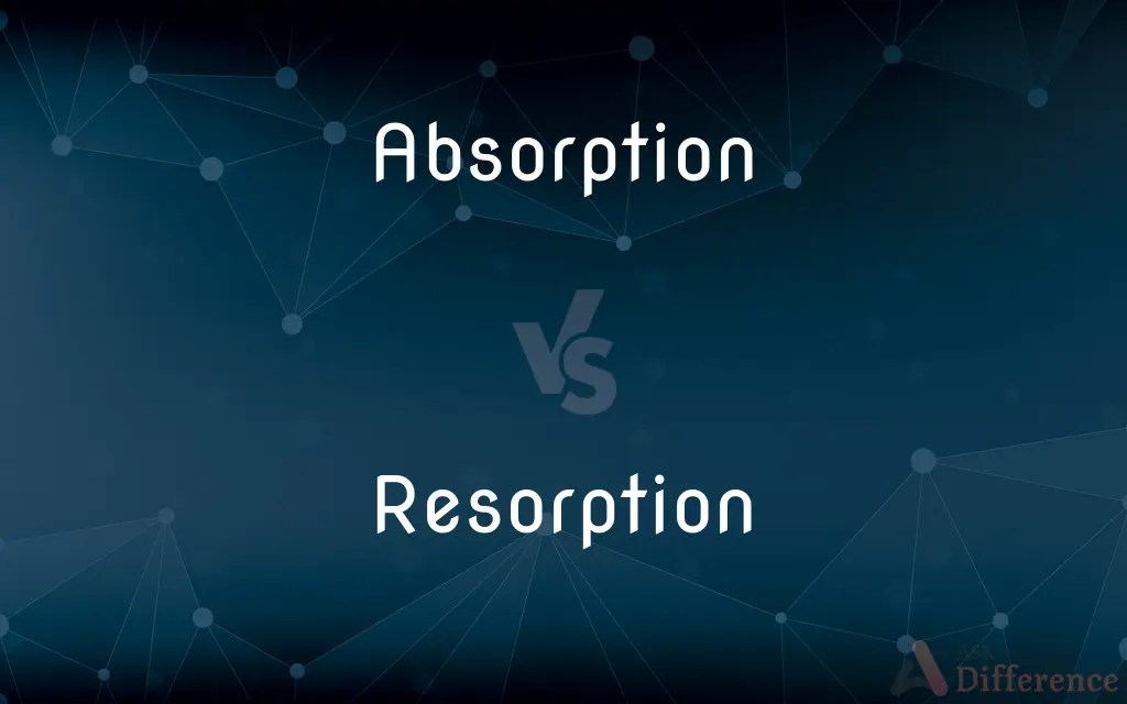Absorption vs. Resorption — What’s the Difference?