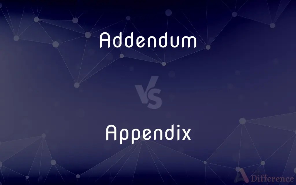 Addendum vs. Appendix — What’s the Difference?