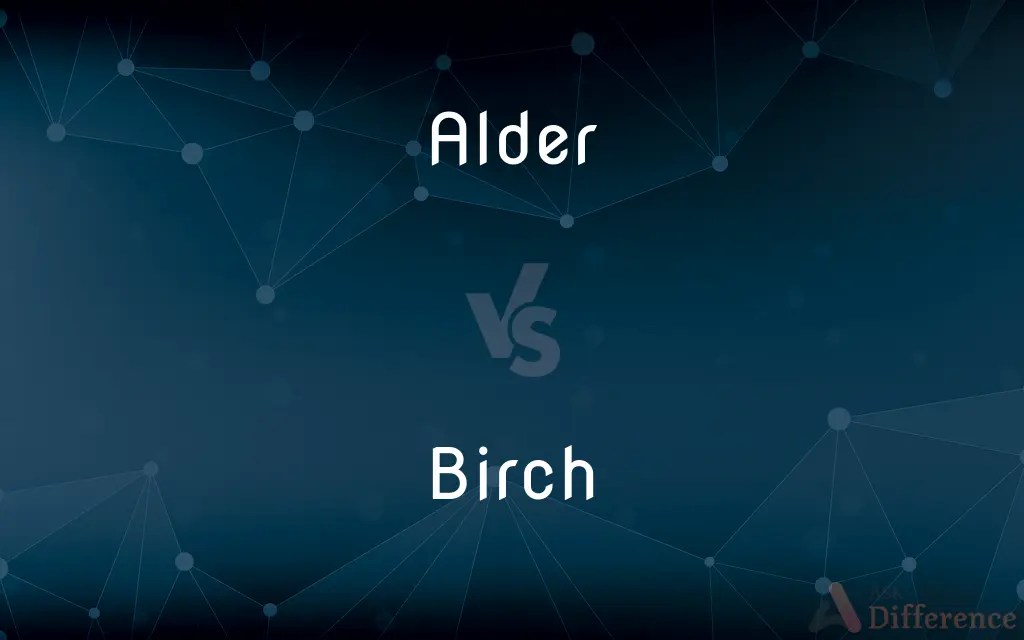 Alder vs. Birch — What’s the Difference?