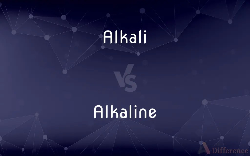 Alkali vs. Alkaline — What’s the Difference?