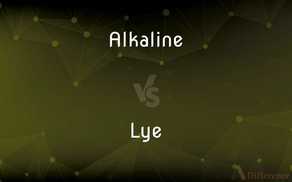 Alkaline vs. Lye — What’s the Difference?